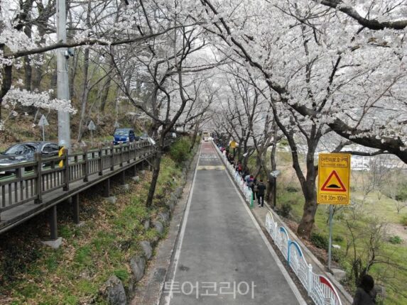 하동가볼만한곳, 차향과 옛 정취가 어우러진 여행