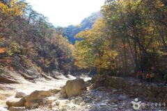 설악산 가볼만한곳, 등산과 힐링 동시에