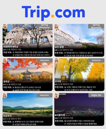 ‘이화여대·남산공원·경복궁·신사동’ ‘2025년 대표할 세계 여행지 글로벌 100선’에 올라