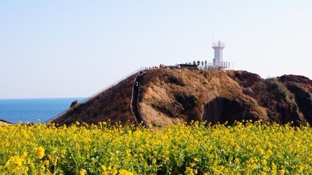 제주도배편, 출항지별 운항 정보와 이용 팁