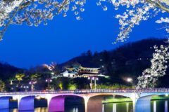 밀양여행, 산과 계곡이 있는 여름 인기 피서지