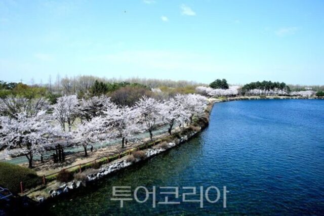 일산 가족 나들이와 감성 데이트 명소