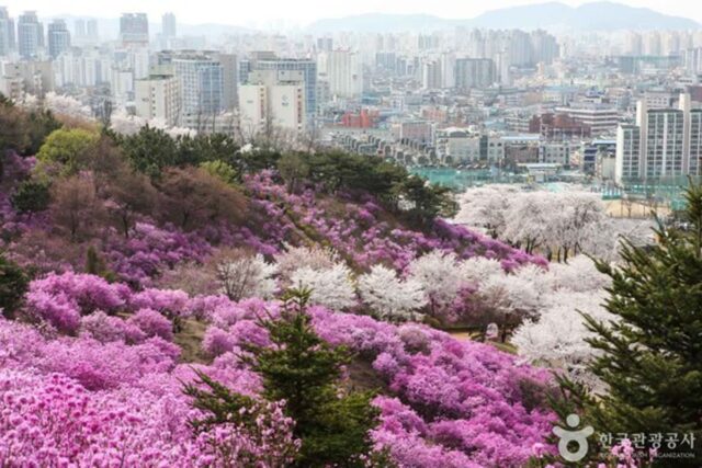 부천 도심 속 여유와 체험형 관광지