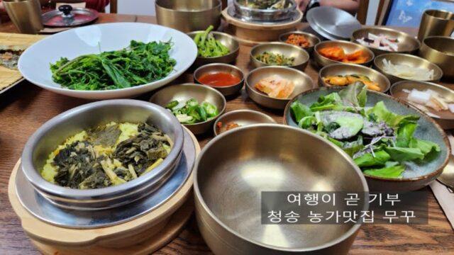 국내 맛집 여행 청송 농가 맛집 무꾸 시래기 산채 비빔밥 정식(Feat.오가피순 효능)