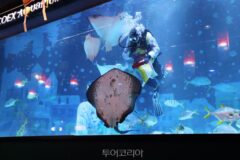 코엑스 아쿠아리움 실내 바다 체험과 맛집 추천