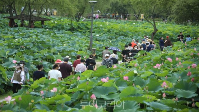 부여가볼만한곳 핵심 4곳, 백제 감성 제대로 즐기기