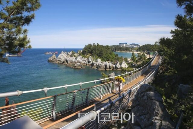 동해가볼만한곳 진짜 인기 명소 4곳만 콕 집어 추천