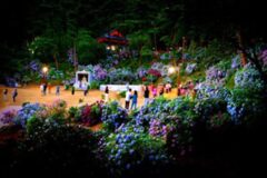 부산 명소 5 여름을 알리는 수국 보기 좋은 부산 명소 추천