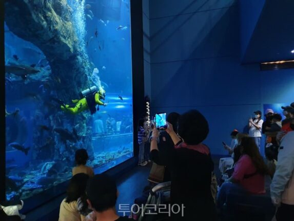 지금가면 딱 좋은 ‘충북 가볼만한곳’…인기 급상승 명소