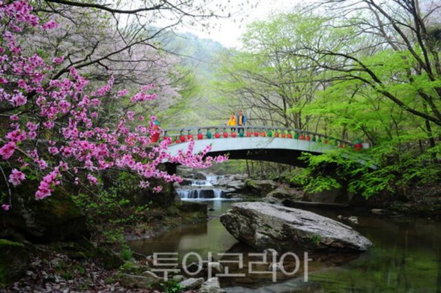 여행 만족도 높은 ‘순창 명소’ TOP4