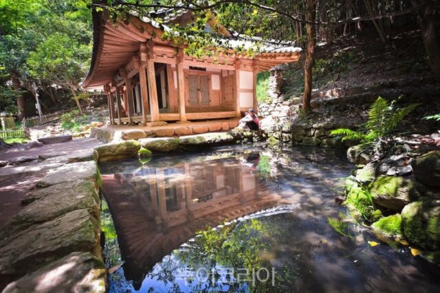역사문화 도시 ‘강진’ 매력 탐방 추천 코스 4