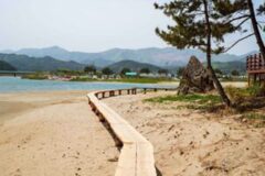 해안 산책로 BEST 4 동해 따라 걷는 산책길 추천, 여기 진짜였어?