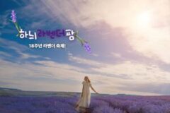 초여름, 한국의 홋카이도! 고성 하늬라벤더팜에서 만나는 18주년 라벤더 축제!