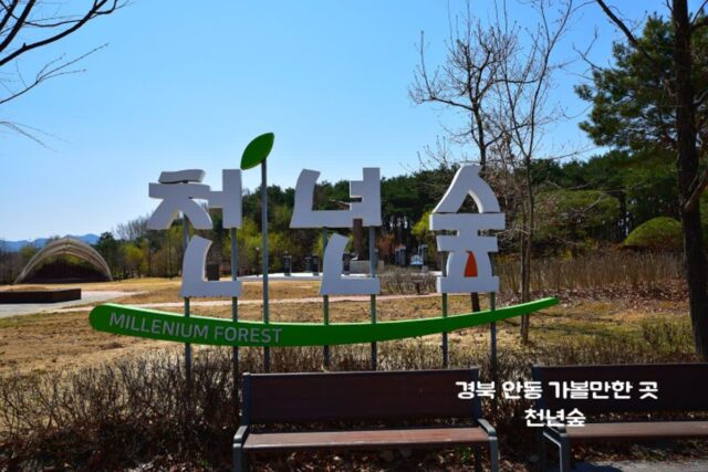 안동 가볼만한 곳 안동 천년숲으로 떠나는 국내 힐링 여행