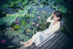 연꽃 명소 TOP 4 고요한 물결 위에 피어난 청아한 꽃, 서울 근교 나들이 (+연꽃 꽃말)