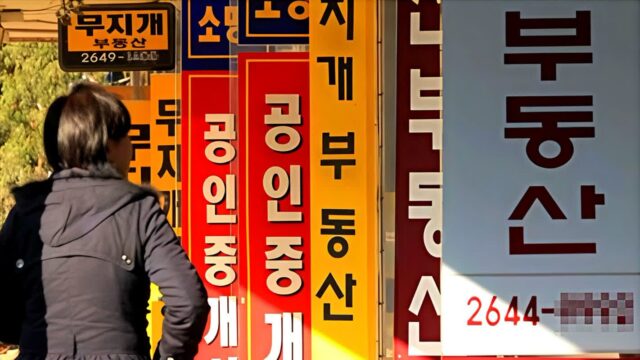 5060이 죄다 차지하더니 “완전히 끝장났어요”… 25년 만의 ‘역대급 위기’라는 ‘이곳’