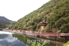 구미 여행 어디로 갈까?… 가족과 함께 즐기는 구미 관광지