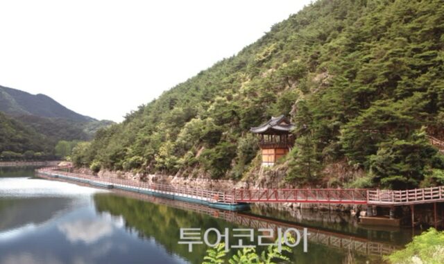 구미 여행 어디로 갈까?… 가족과 함께 즐기는 구미 관광지