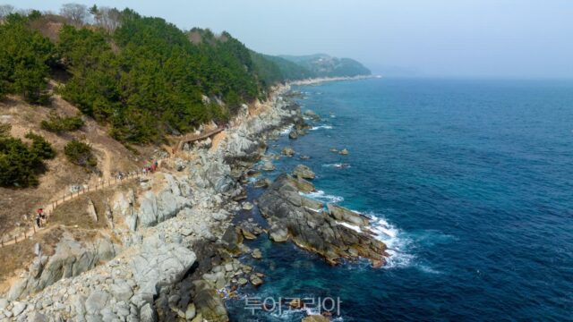 동해의 정취 가득한 영덕, 자연과 함께 걷는 코스