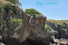 서해섬 여행 인천섬 추천 굴업도 배편 & 코끼리 바위