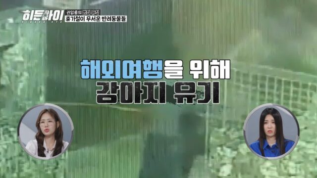 박하선, “개만도 못한 사람들”…‘히든아이’서 분노 폭발한 이유