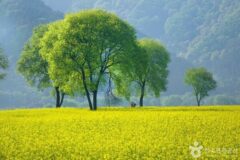 충북 옥천 현지인 추천 맛집 리스트