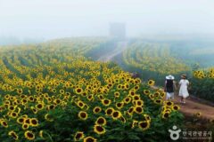 경남 여행 어디부터 갈까?….. 체험형명소 총정리