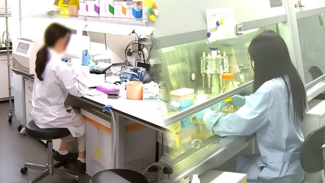 “굶겼더니 암 치료 성공?”… 韓 연구진 대발견에 50조 시장 ‘시선 집중’
