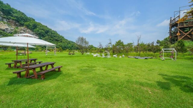 [여행+핫스폿] 두 어깨에 곰 두 마리 올려둔 직장인이라면 꼭 가봐야 할 리셋 여행지 4