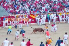7월 해외 여행지 추천, 산 페르민 축제가 열리는 북부 스페인 여행