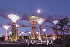 싱가포르 여행 필수코스 4곳, 첫 방문이라면 여기