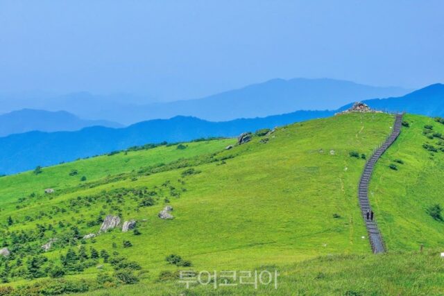 소백산 등산 어디서 오를까 대표 코스 5선