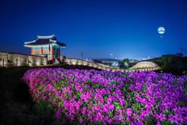 밤하늘에 별 떨어지는 경기도 명소 4