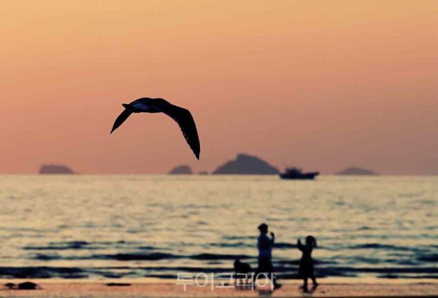 안면도 관광 명소 정리, 섬 속 힐링 코스