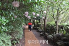 서귀포 자연 명소 모음, 힐링 산책 코스로 제격
