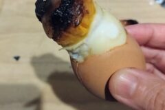 건강한 계란도 “이렇게 요리하면 발암덩어리 된다” 주의하세요