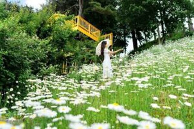 주말 데이트 코스로 추천 하는 서울 근교 경치 좋은 카페 3