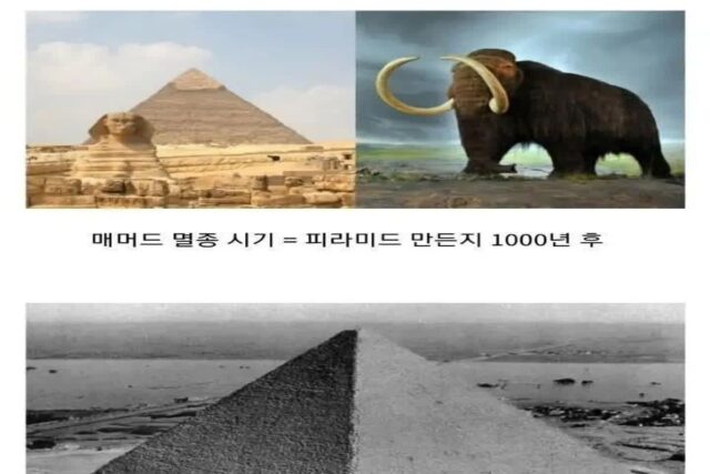 이집트 피라미드 위엄