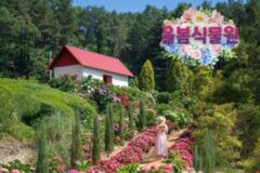 율봄식물원, 환상적인 수국으로 가득한 서울 근교 나들이 “수국 꽃길과 함께 하는 낭만”