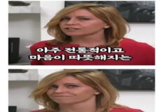 서양인이 만든 감기에 좋은 한국음식