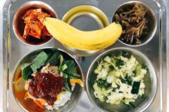 급식 참치 야채 비빔밥