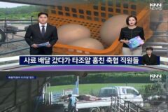 사료 배달 갔다가 타조알 훔친 축협 직원들