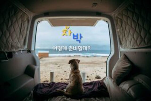 캠핑 초보자를 위한 ’차박’ 5계명 (+서울 근교 차박 하기 좋은 곳)