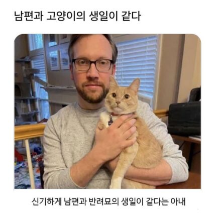 남편과 고양이의 생일이 같다