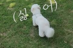 ??? : 냅둬도 되는데요 ㅡㅡ