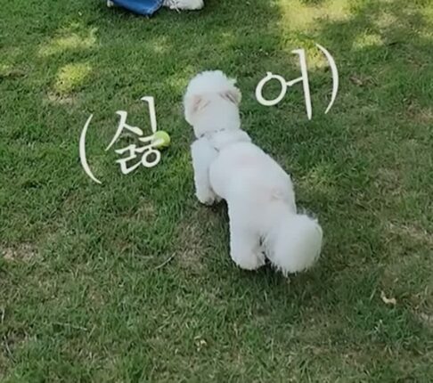 ??? : 냅둬도 되는데요 ㅡㅡ