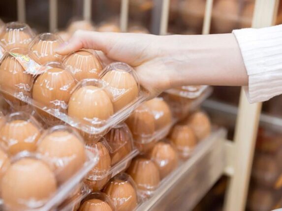 마트에서 ”이런 계란은” 절대 사지마세요. 이런 계란을 사야합니다.