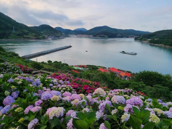 고흥 숨은 절경지, 이 조합이면 제대로 힐링된다