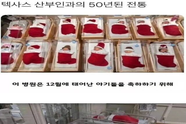 어느 텍사스 산부인과의 전통