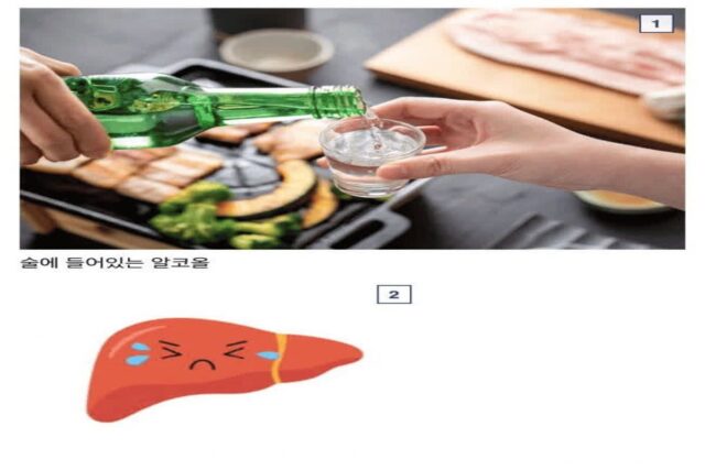 간이 개쩌는 장기인 이유